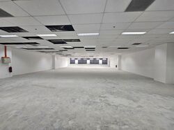 Techpoint (D20), Factory #455014341
